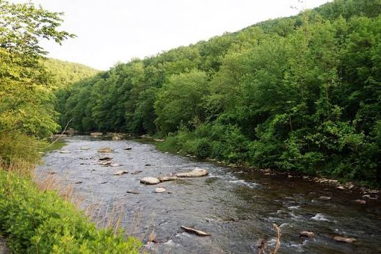 A forested river valley with clear water flowing over rocks in the Laurel Highlands